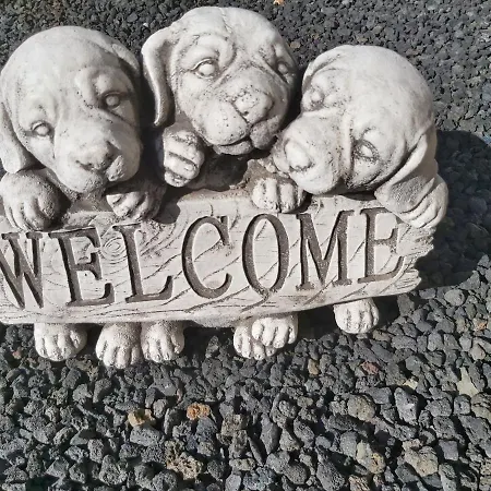 Thais, Private Heated Pool, Ideal For Your Holidays In